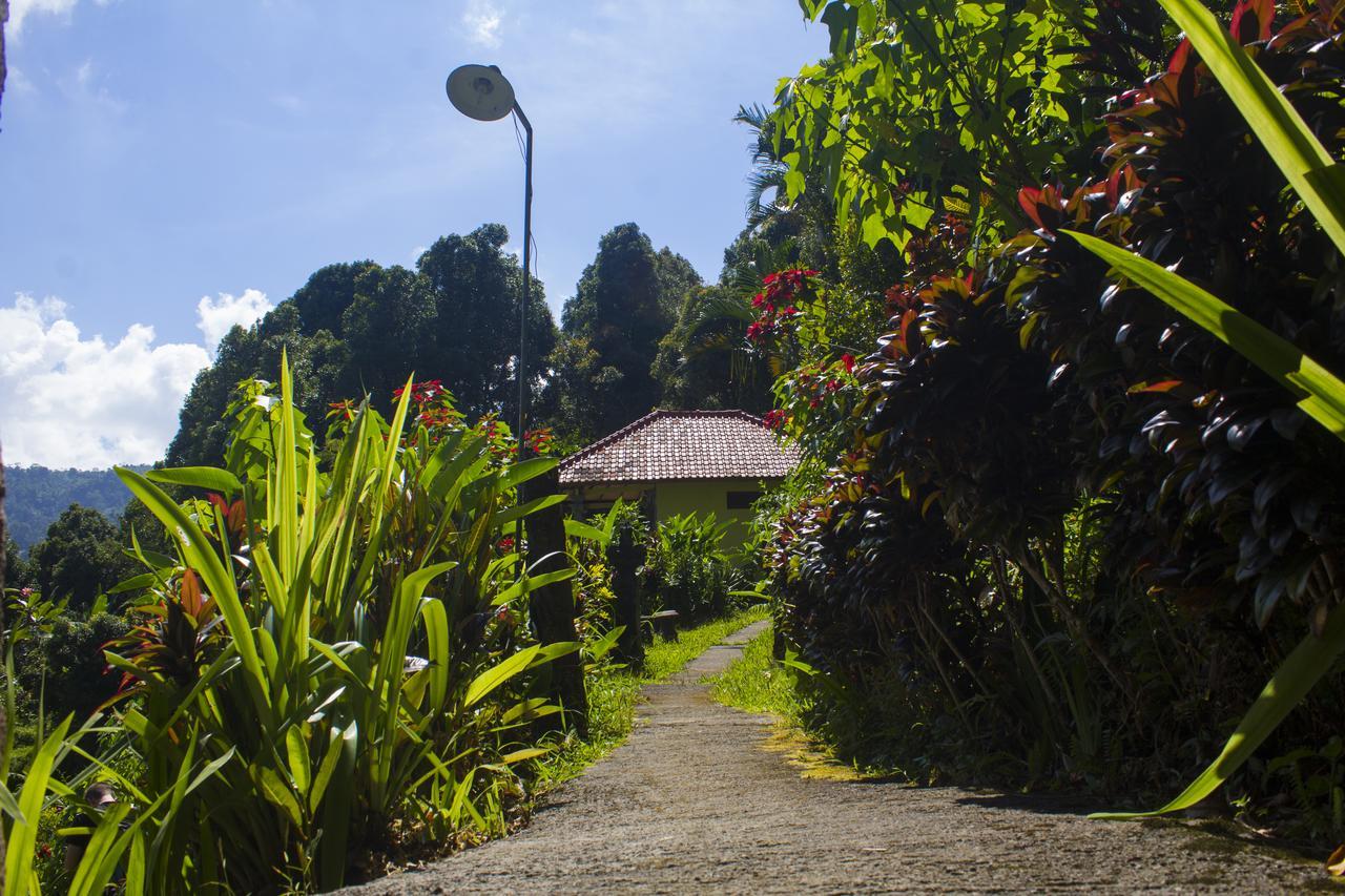 Aryautama Garden Villa موندوغْ المظهر الخارجي الصورة